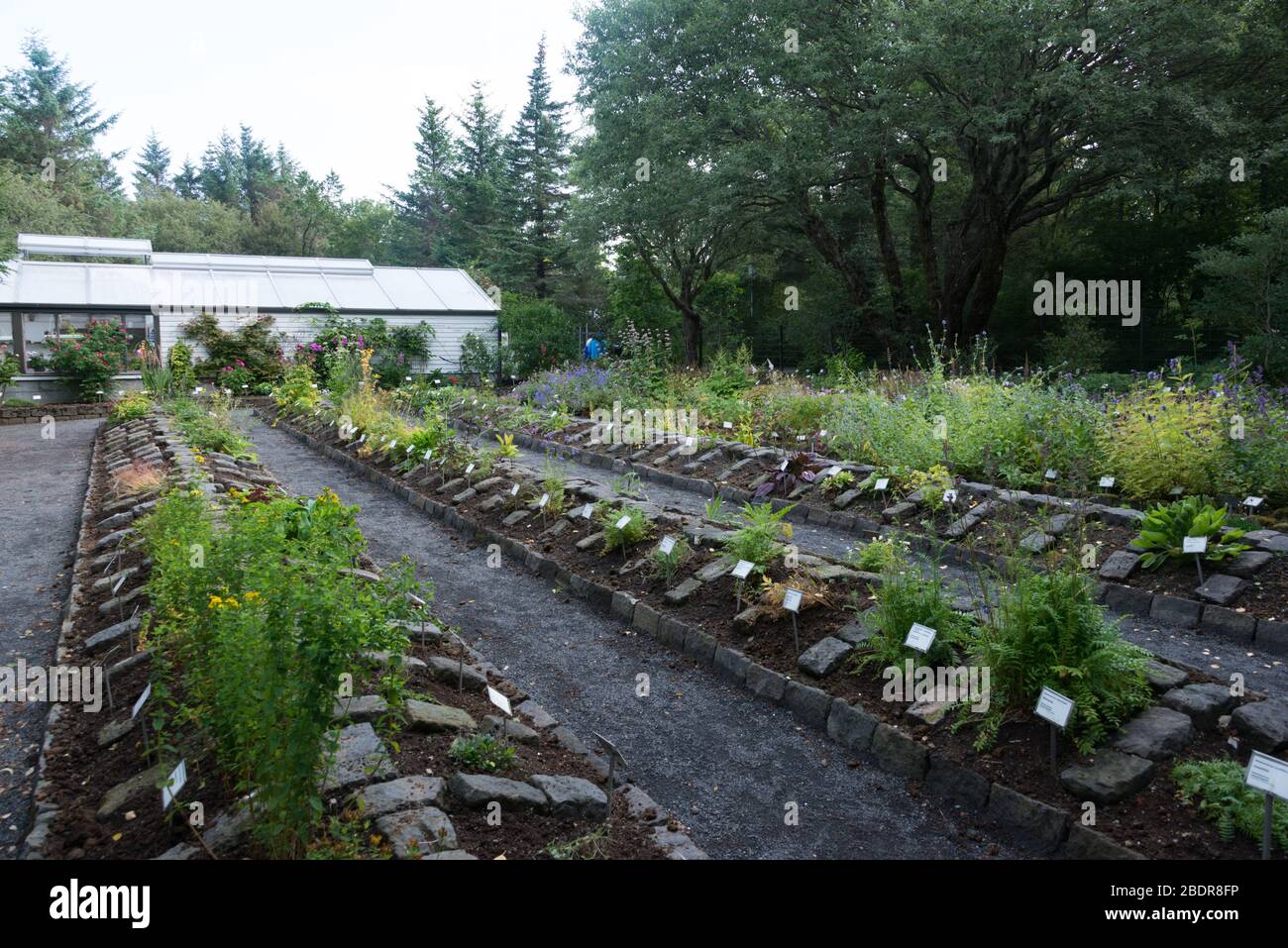 A plant nursery at Reykjavík Botanical Garden, Iceland Stock Photo