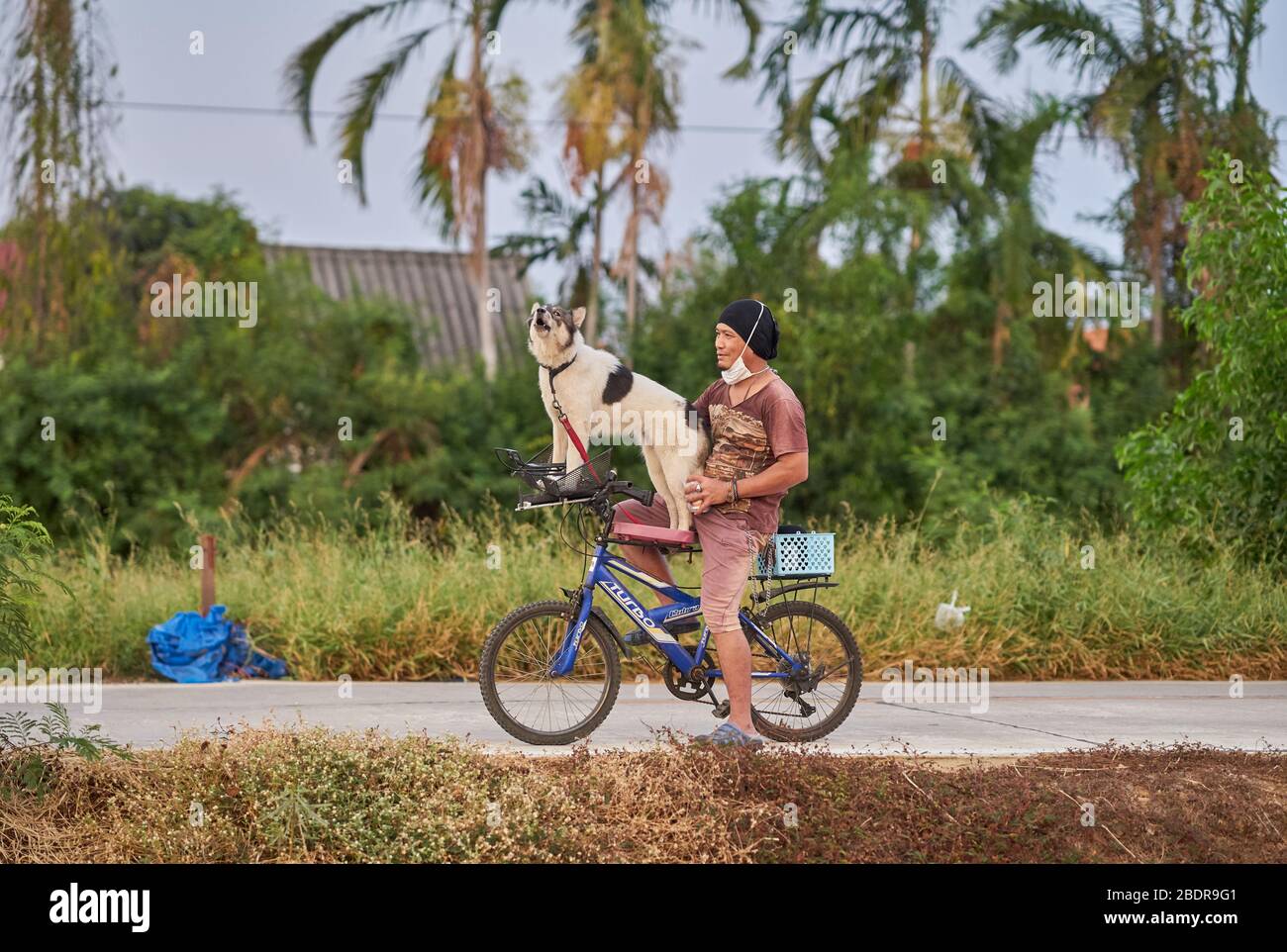 A man with his dog on a bicycle in the countryside. Stock Photo