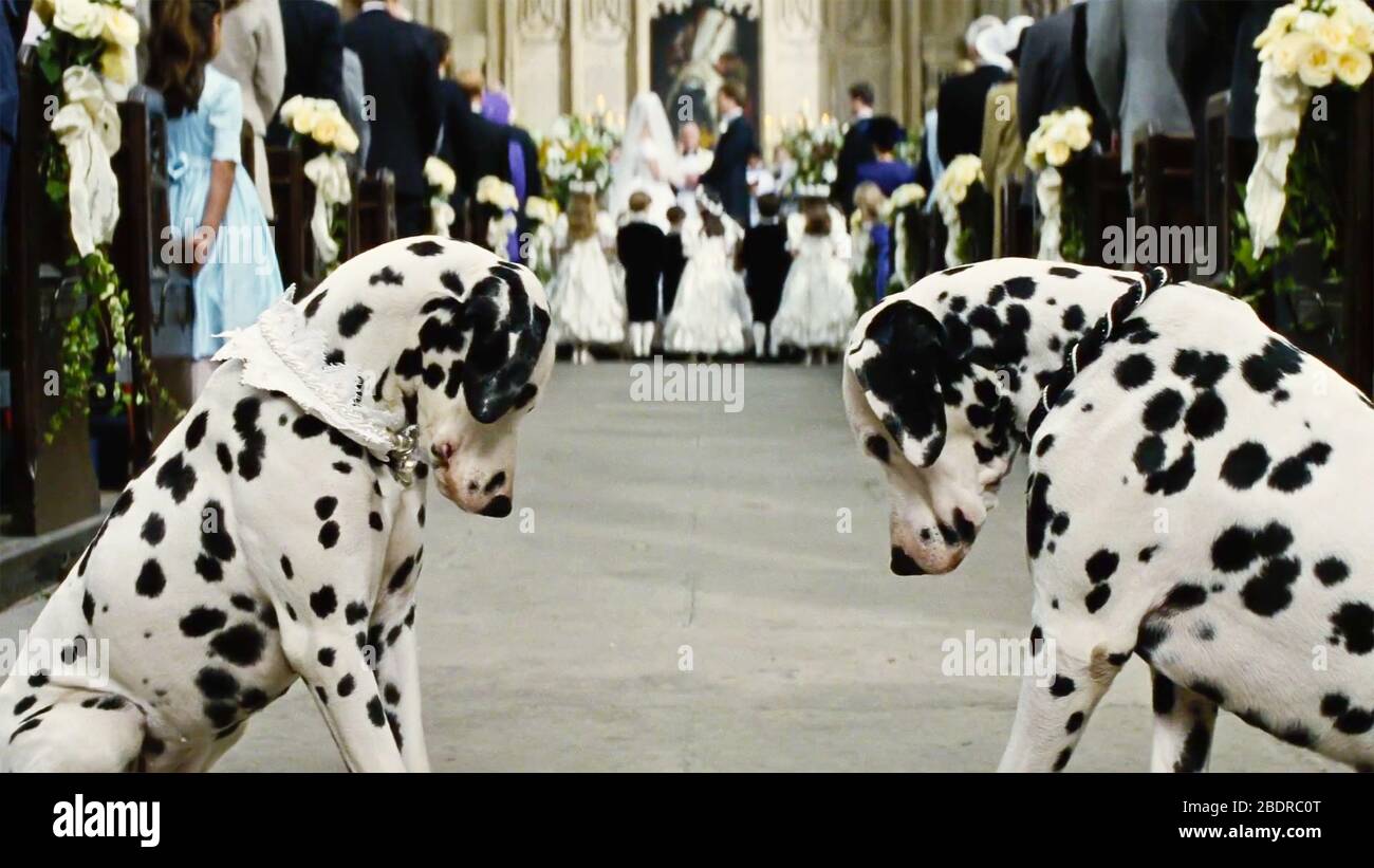 Dalmatian wedding | Honestweddingadvice.com