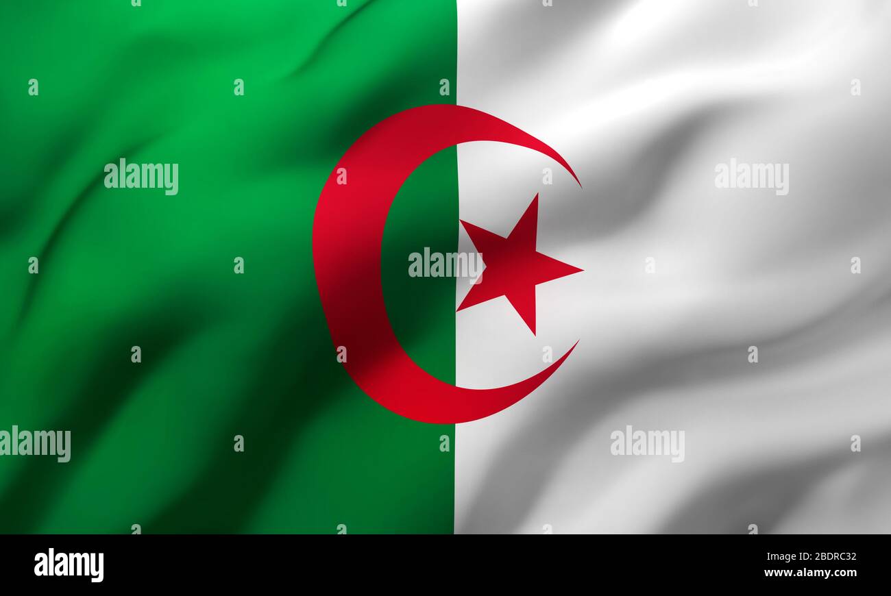 Flag of Algeria blowing in the wind. Full page Algerian flying flag. 3D illustration. Stock Photo