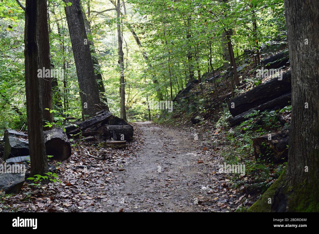 Rock creek park hi-res stock photography and images - Alamy
