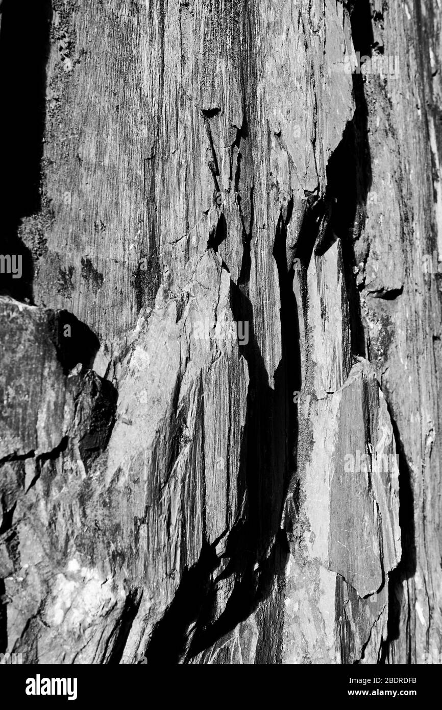 North Wales rocks at Lyn Idwal, United Kingdom Stock Photo