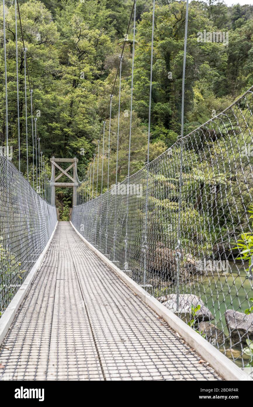 suspended pedestrian bridge with lush rain forest vegetation on shore at Bark bay, shot in bright spring light near Kaiteriteri, Abel Tasman park,  So Stock Photo