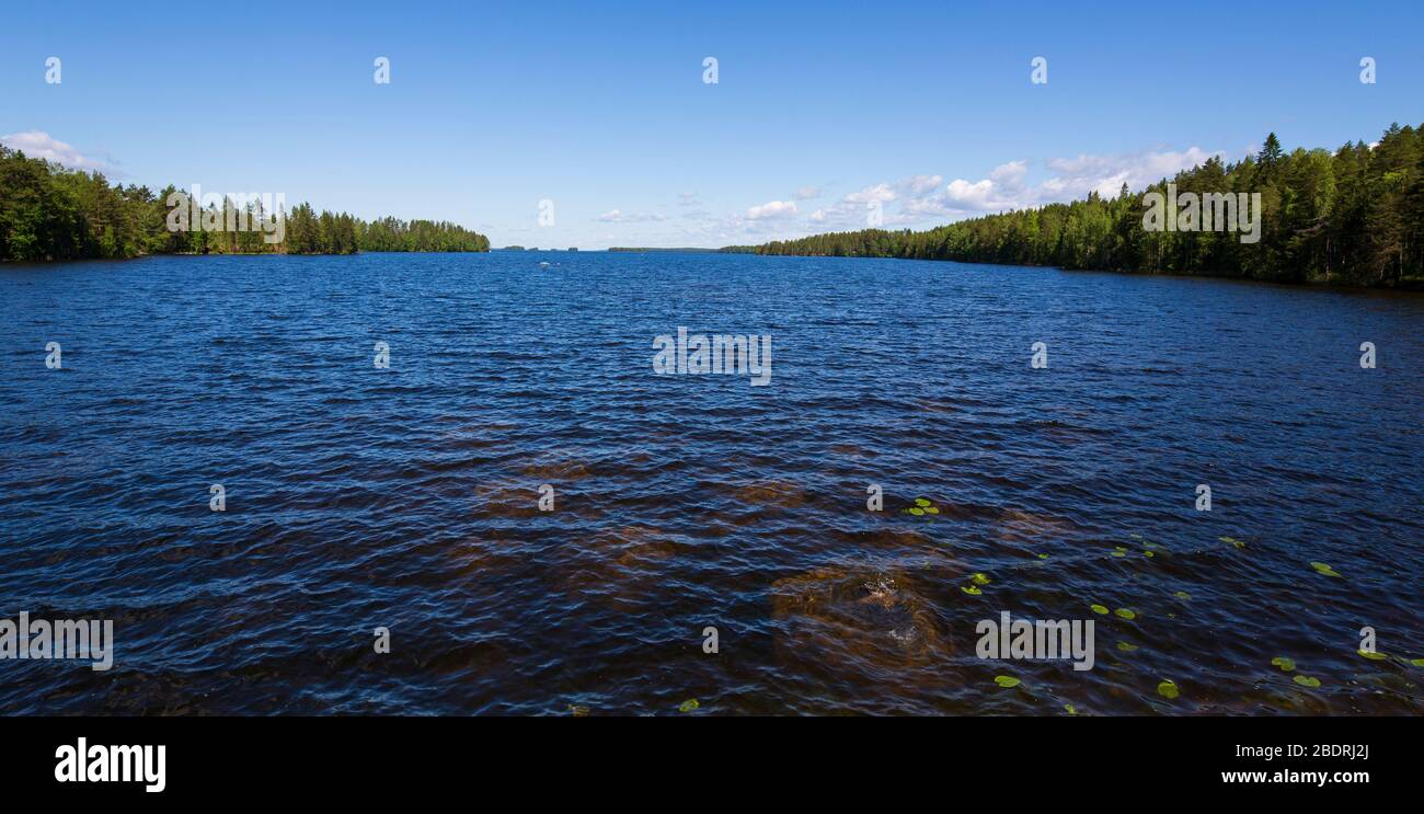 View of lake Pohjois-Konnevesi at Summer , Finland Stock Photo