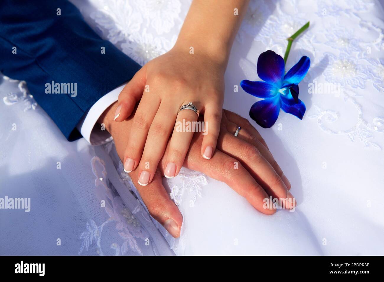 Hands of the bride and groom on the background of a wedding dress. Stock Photo