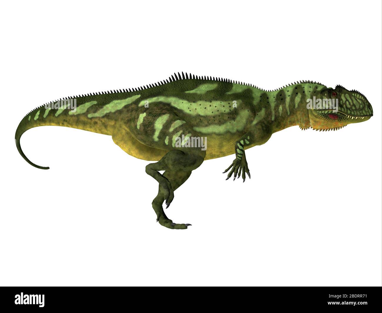 Yangchuanosaurus was a carnivorous theropod dinosaur that lived in China during the Jurassic Period. Stock Photo