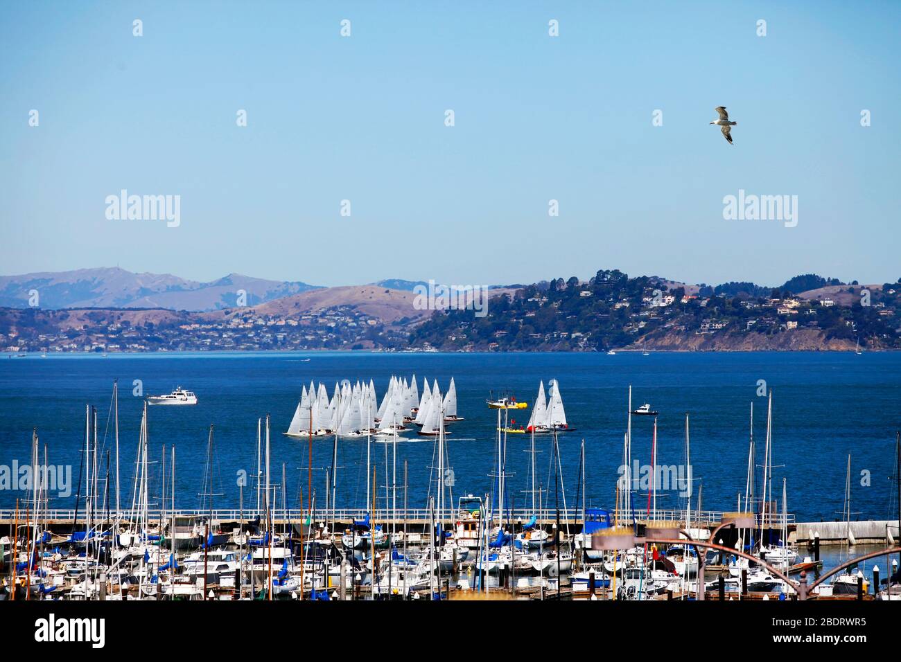 Group of sailboats in San Francisco Bay against the backdrop of the city of Sausolito Stock Photo