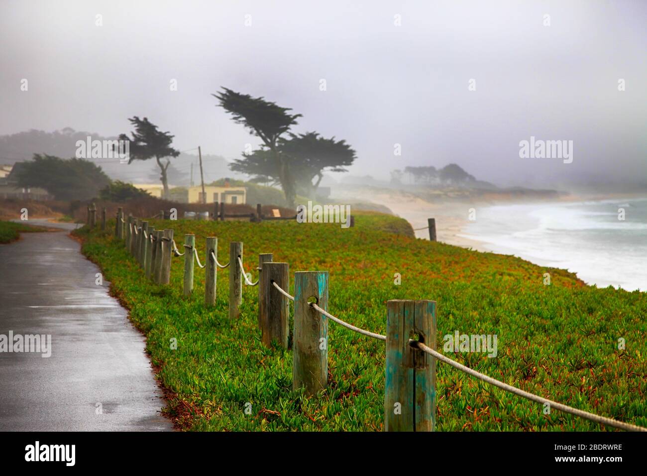 Foggy morning in California. USA, Half Moon Bay. Stock Photo