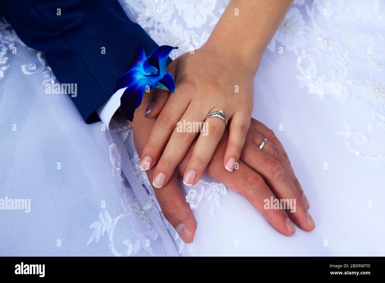 Hands of the bride and groom on the background of a wedding dress. Stock Photo