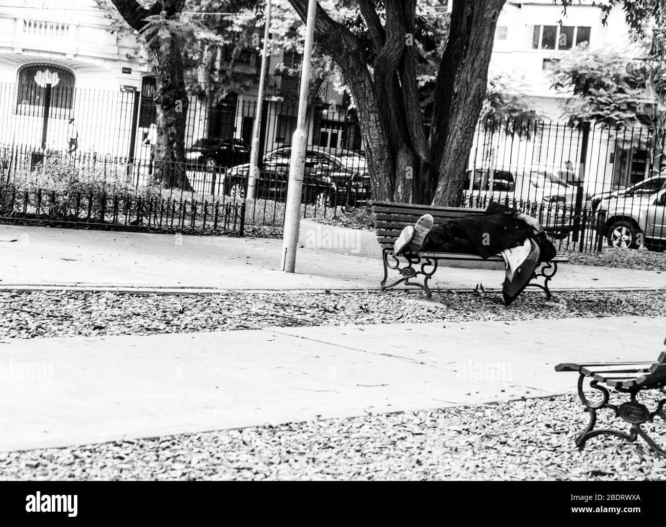 In the middle of the park, someone is sleeping. Stock Photo