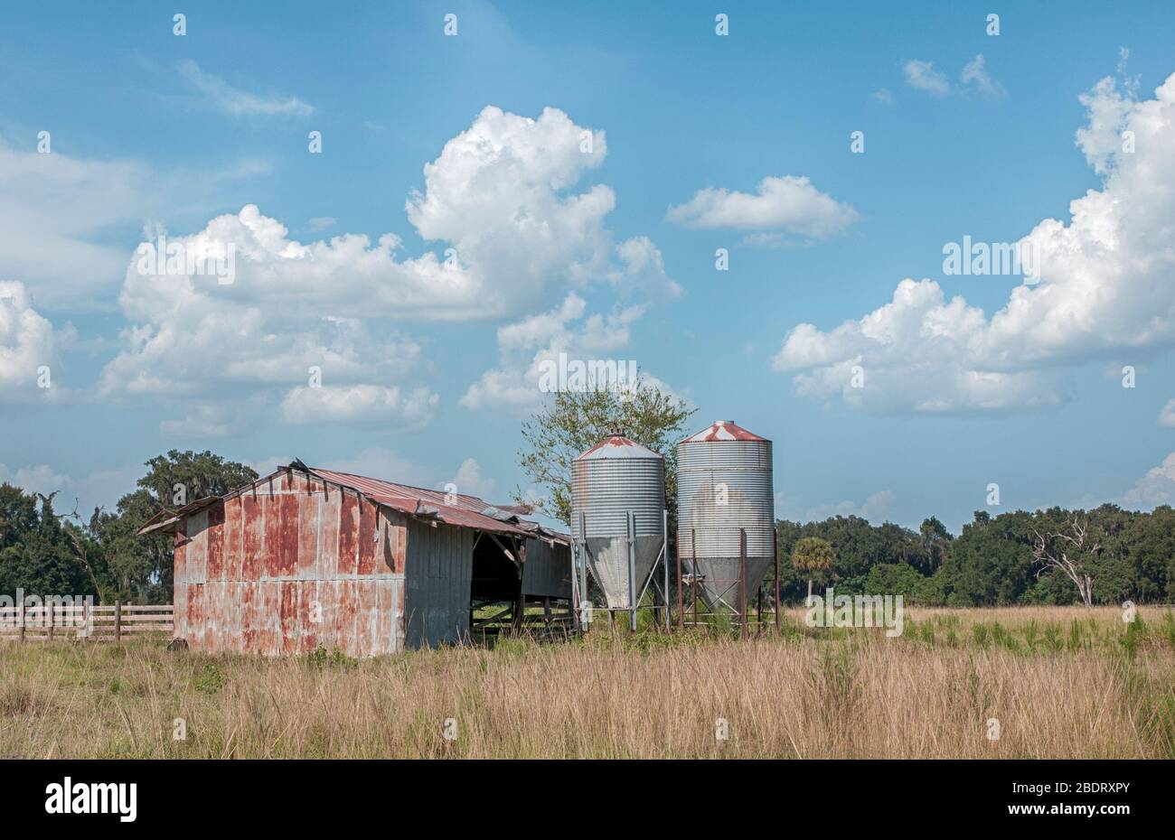 Old metal barn with metal silos. There are blue skies, fencing, grown