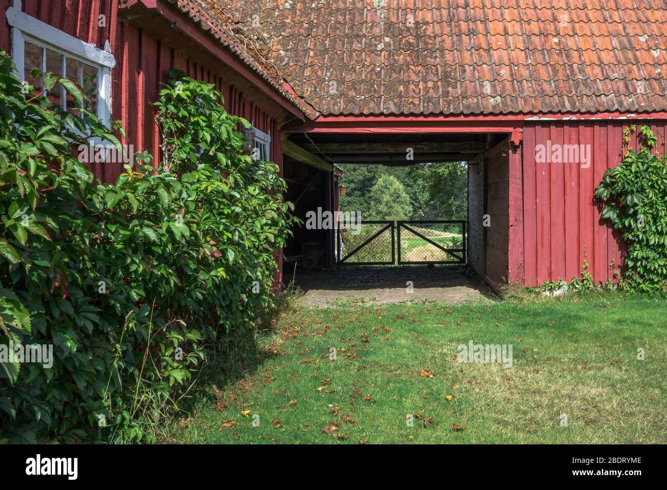 Exit from farmyard with traditional red wood panel buildings in agricultural landscape in Skane district, Sweden Stock Photo