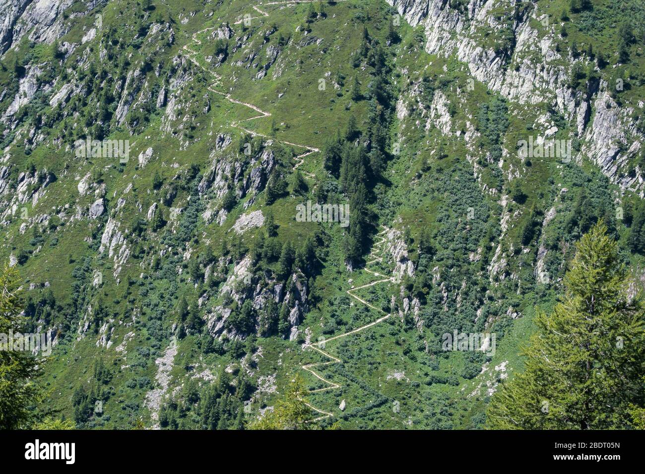 Part of the popular Tour du Mont Blanc trail zigzag with multiple switchback turns leading up a lush green mountainside in the Aiguilles Rouges massif Stock Photo