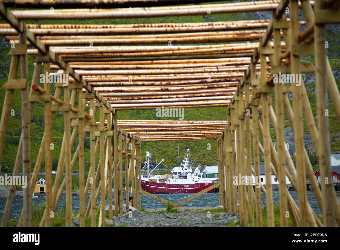 Cod drying rack in the fishing port of Reine in the Lofoten Islands ...
