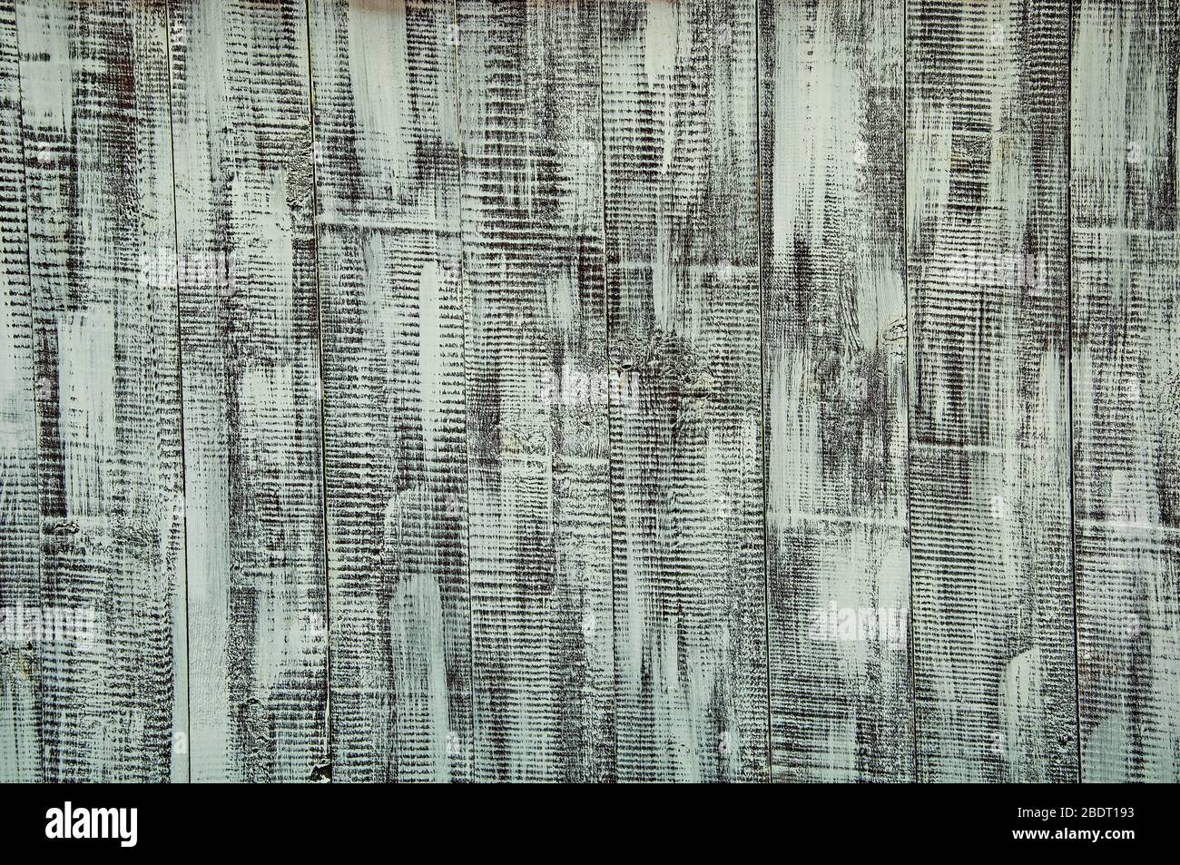 Wood texture. The background is black and white with a hint of turquoise. Stock Photo