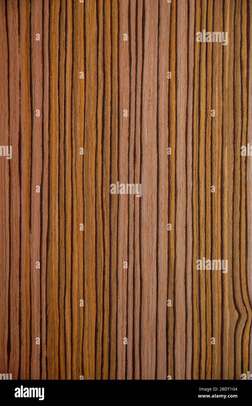 Texture of exotic wood textures. Background - yellow stripes and pink. Inside are brown Stock Photo