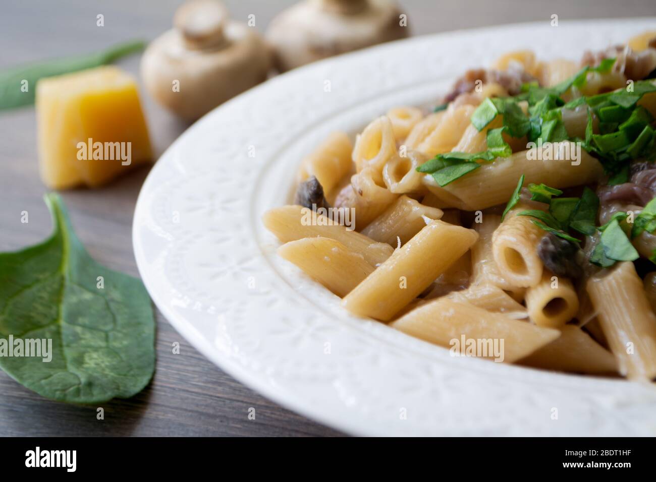 Porcini Italy High Resolution Stock Photography and Images Alamy