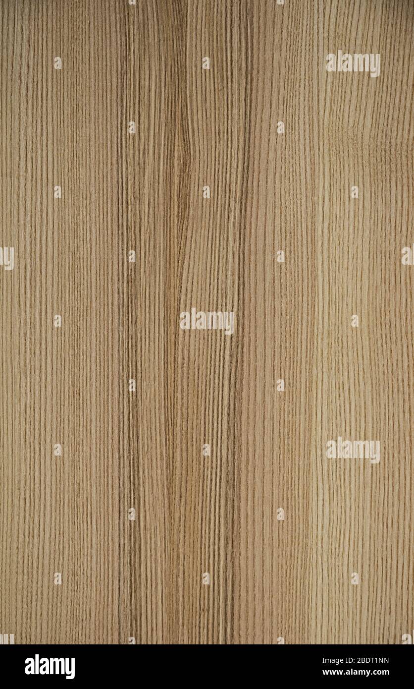Wooden textures design. Stock Photo