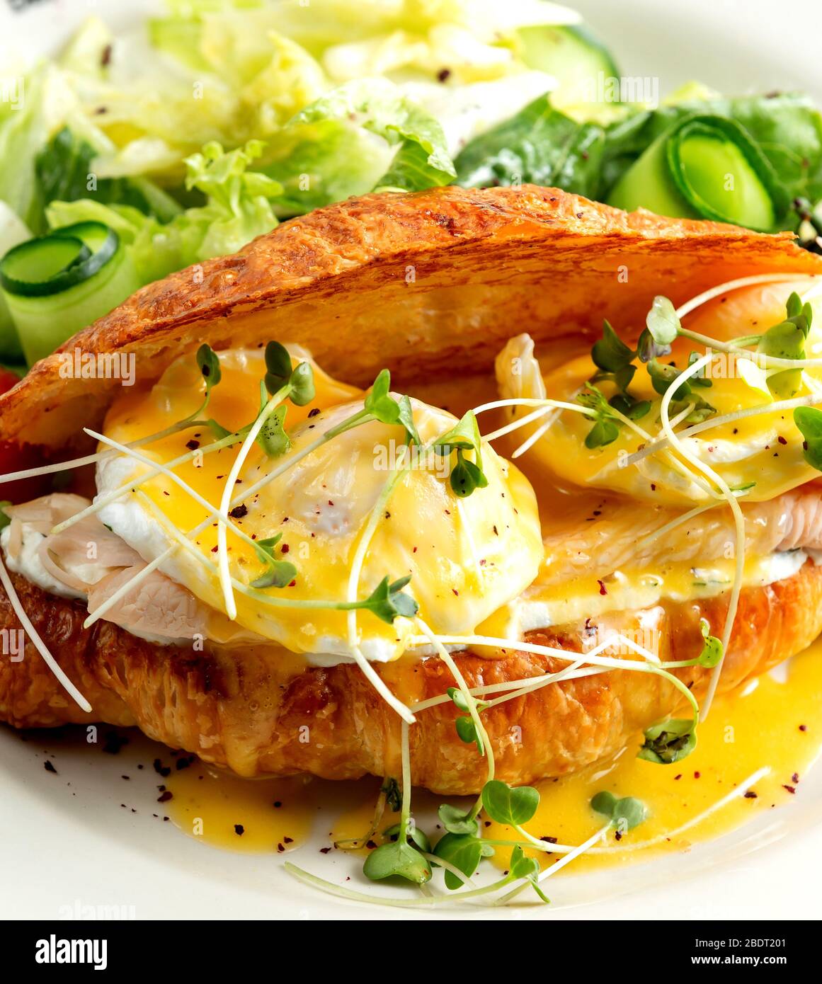 close up of chicken sandwich with egg benedict in croissant Stock Photo Alamy