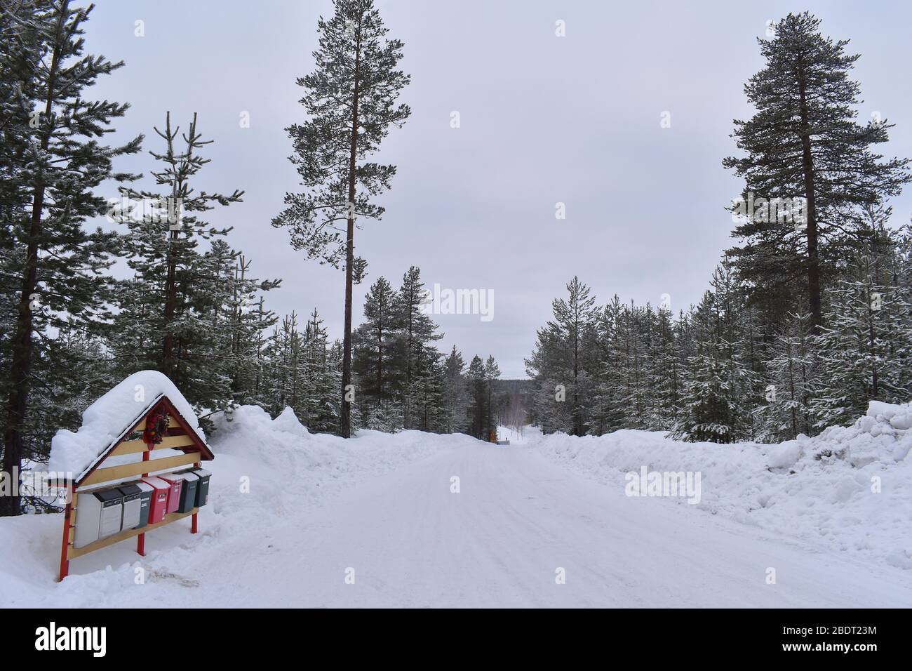 A remote snowy road in the Finnish wilderness Nordic mailboxes amongst tall evergreen pine trees Lapland is ideal destination for white winter holiday Stock Photo