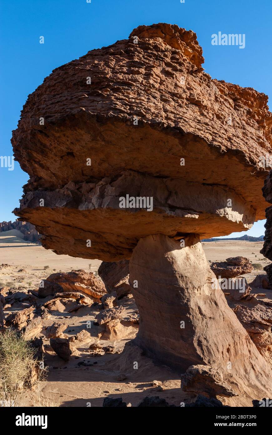 Sandstone towers in form of mushroom in the Ennedi desert of Chad, Africa Stock Photo