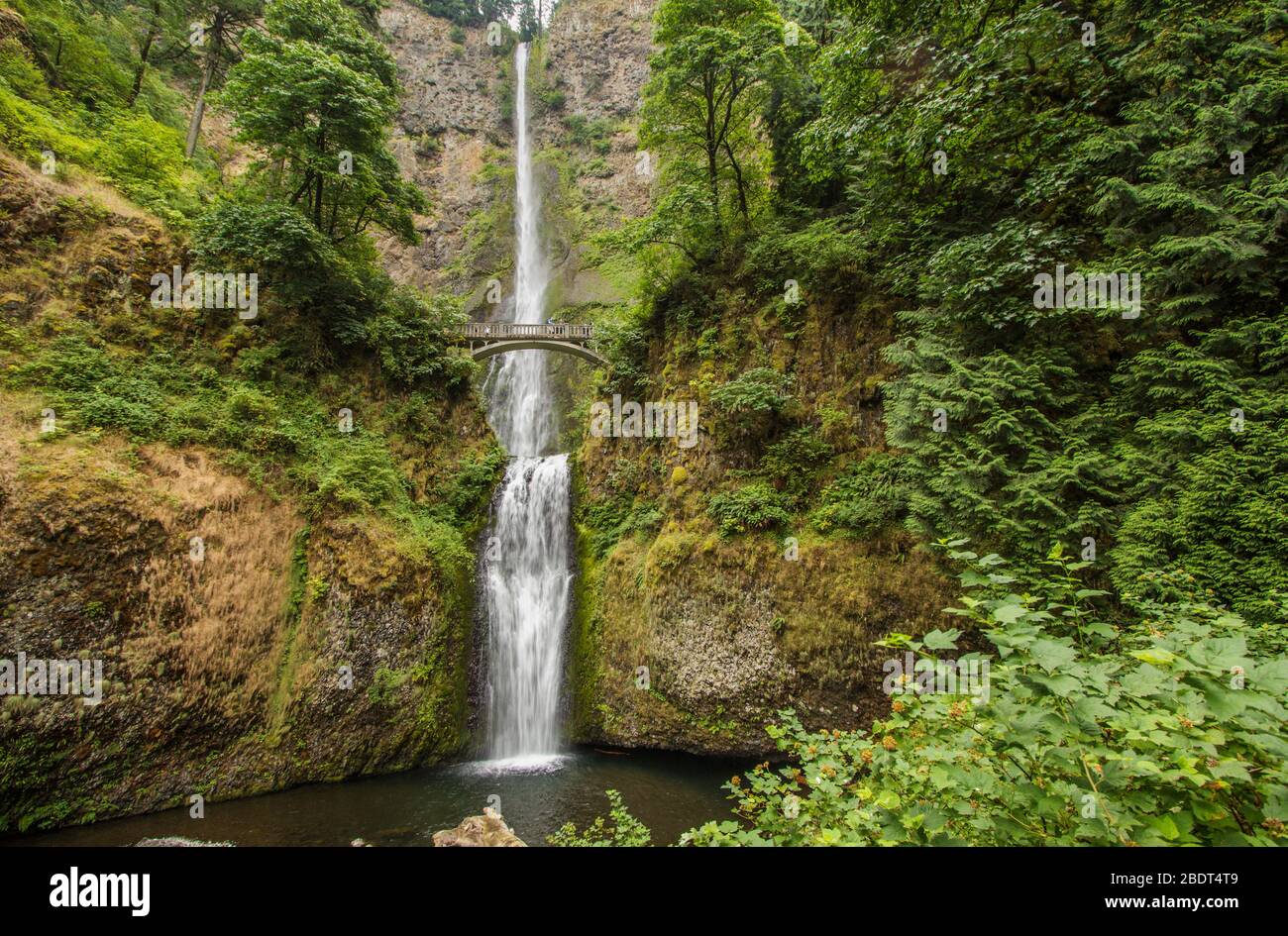 Multnomah Falls, Oregon USA Stock Photo