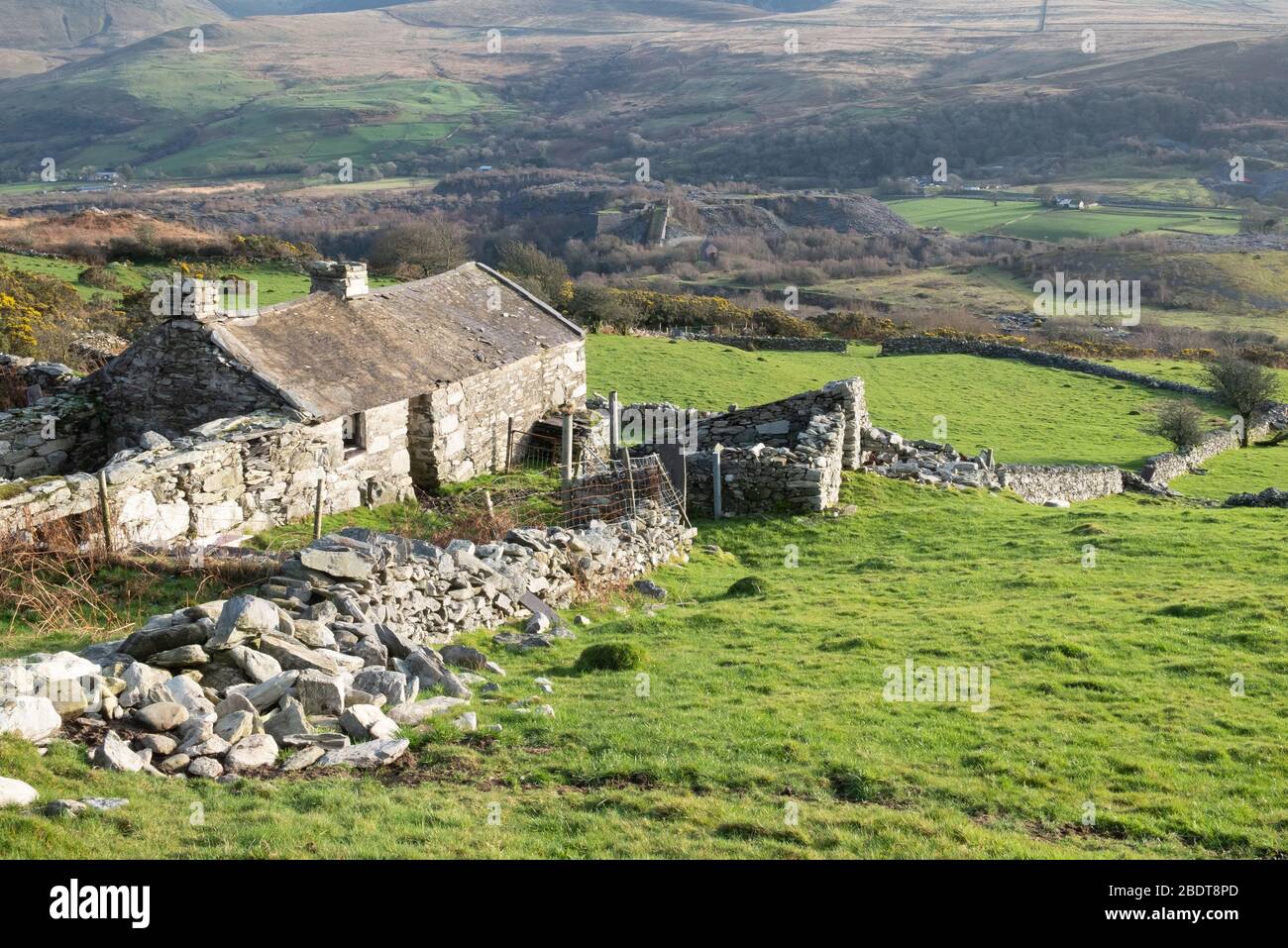 ruin of a slate-worker's cottage at Cilgwyn, Snowdonia National Park, Wales Stock Photo