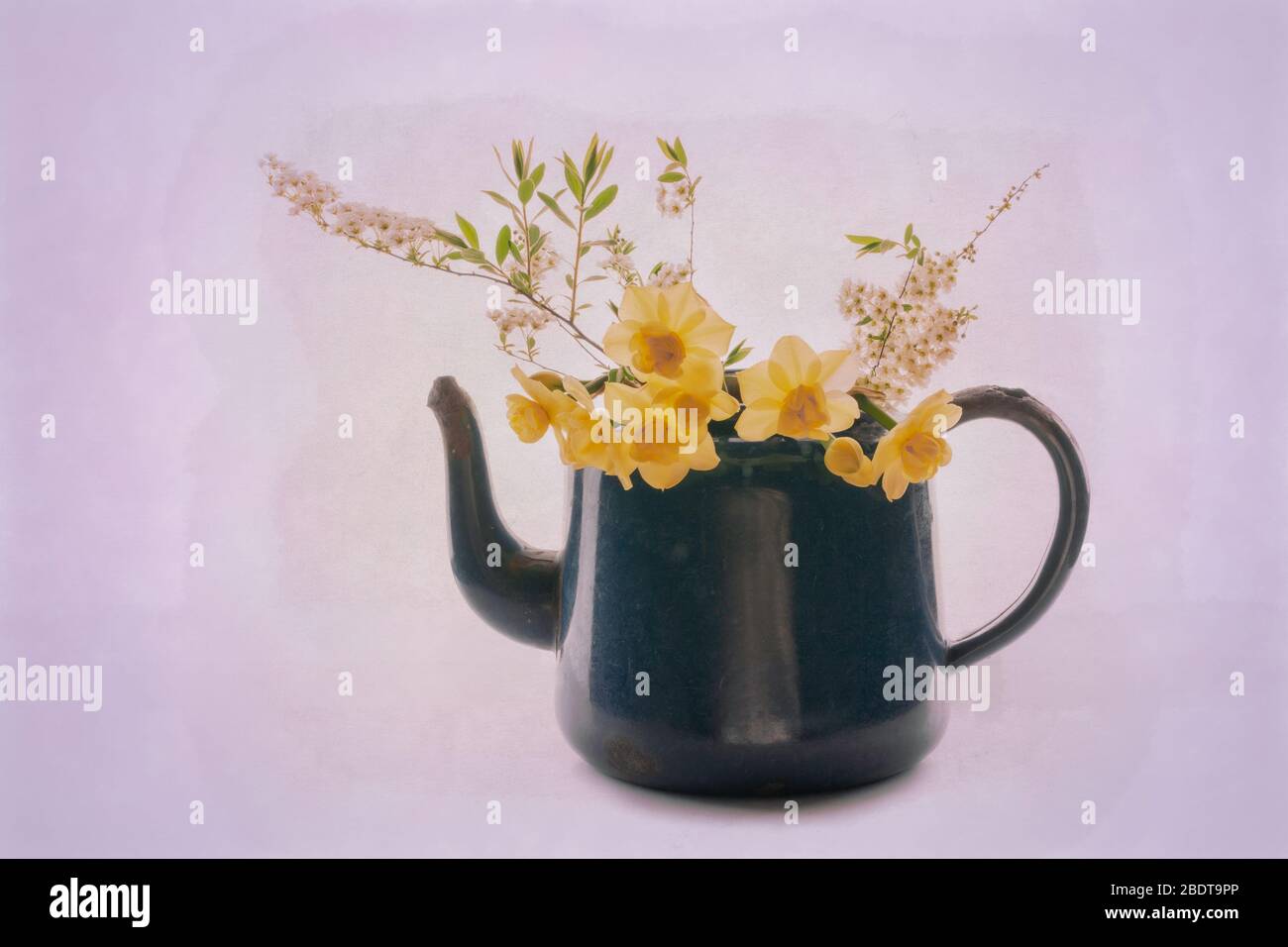 Blue Teapot Spring Flowers Stock Photo Alamy