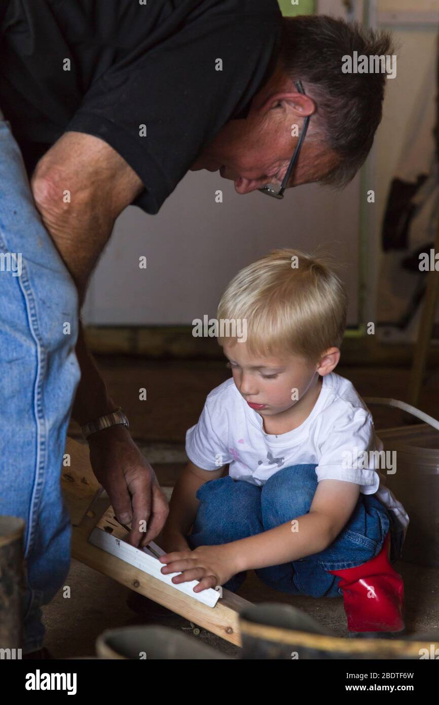 Grandpa helps grandson (both model released) do chores on Dairy Farm in Wisconsin Stock Photo