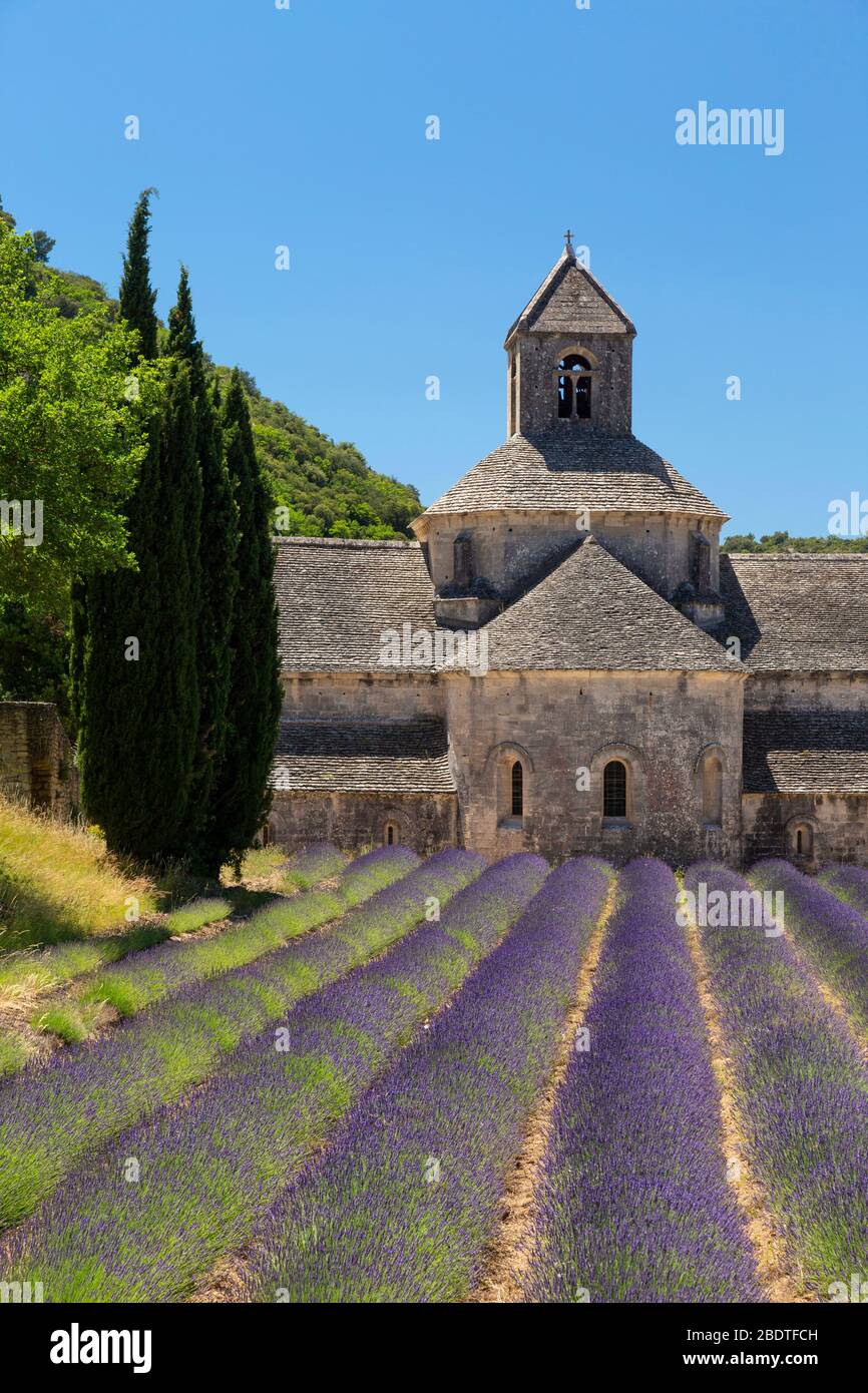 Gordes france flowers hires stock photography and images Alamy