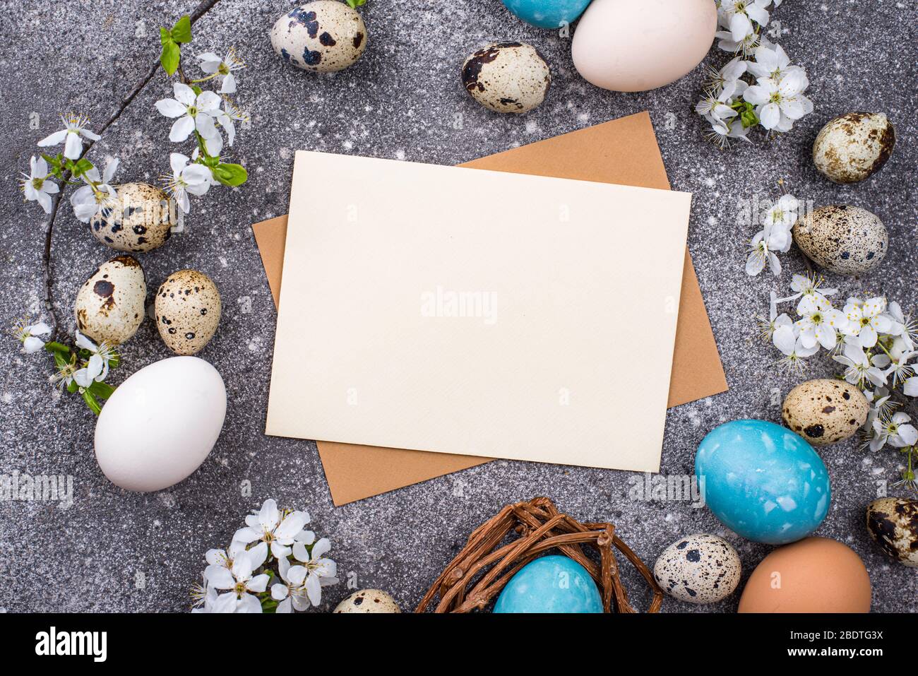 Easter eggs and empty card Stock Photo