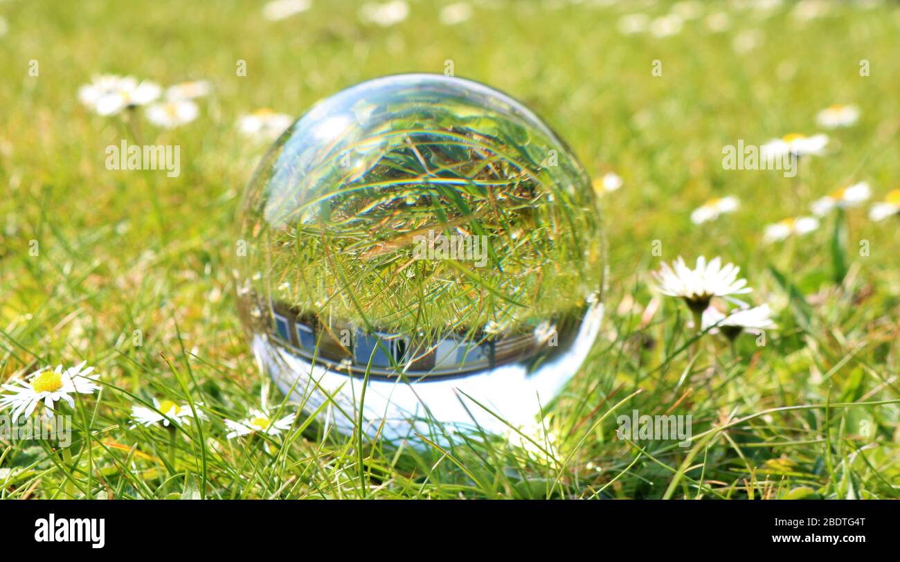 Crystal sphere ball on grass with daisies showing house in reflection Stock Photo