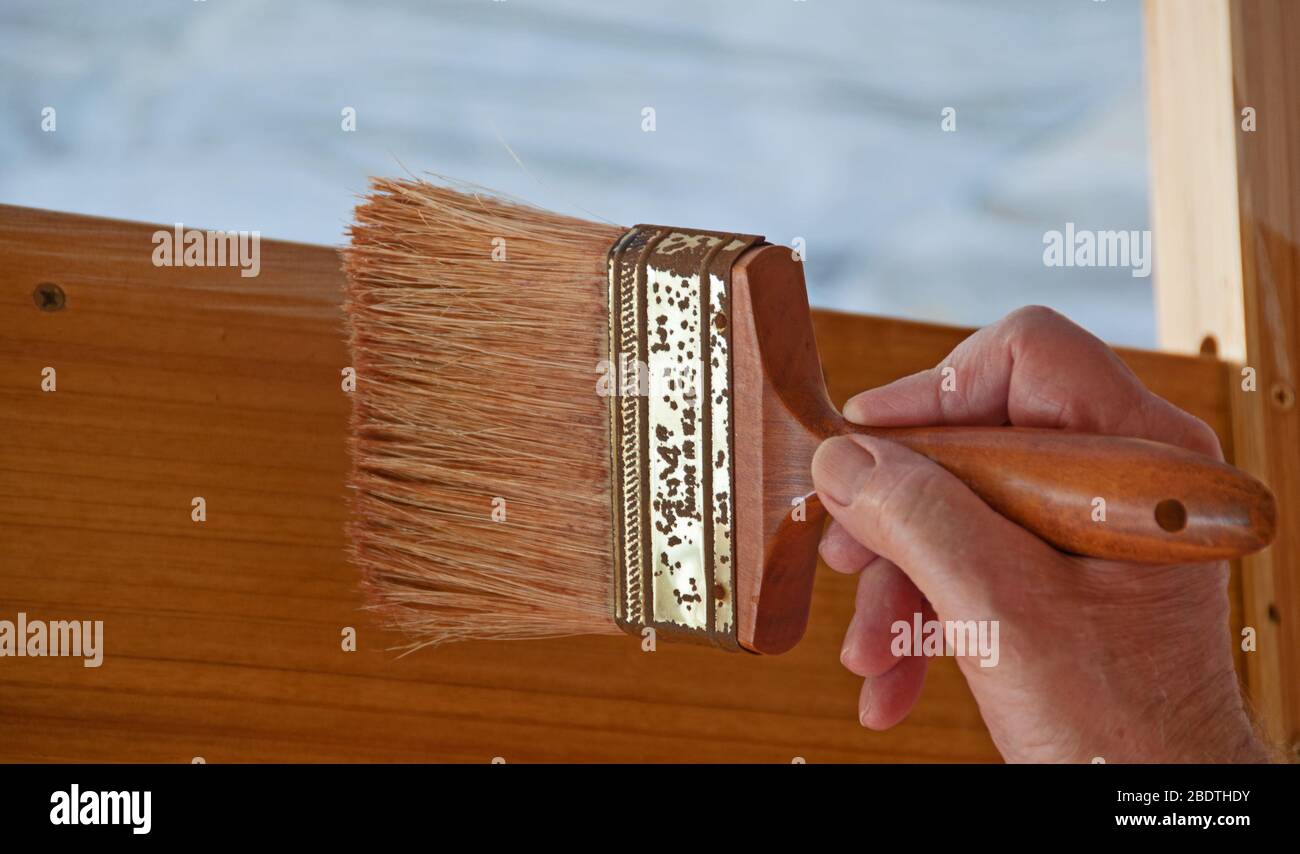A photo of a hand holding a paintbrush painting a wooden board Stock Photo