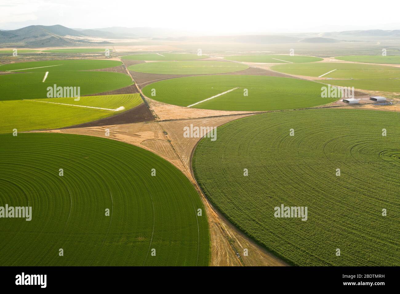 Green Crop Circles Grow in a Remove Nevada Desert Stock Photo