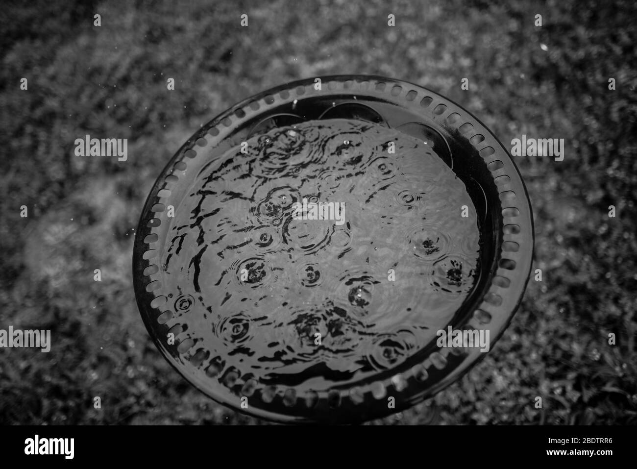 Raindrops Stock Photo