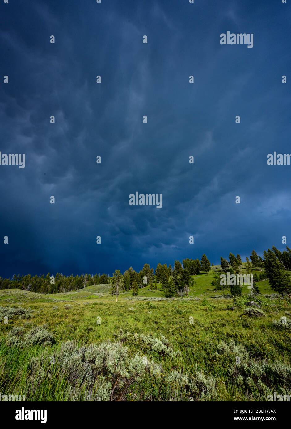Dark and stormy clouds over Green hills in Yellowstone Stock Photo - Alamy