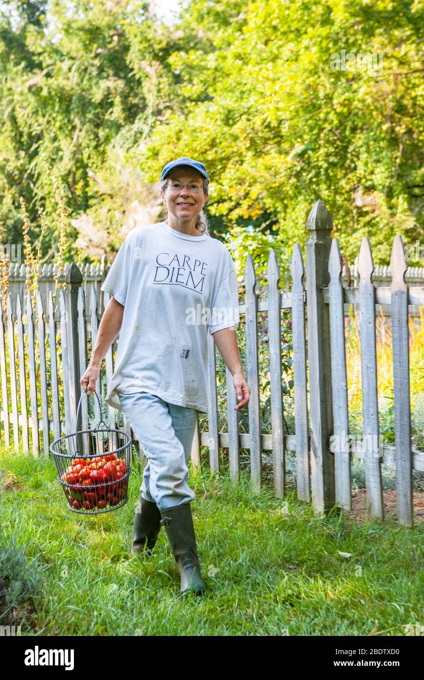 A farmer with her just picked tomatoes Stock Photo