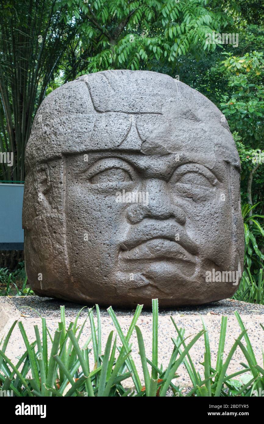 Giant Olmec head sculpture in La Venta Olmec museum in Villahermosa, Tabasco, Mexicocivilisation Stock Photo