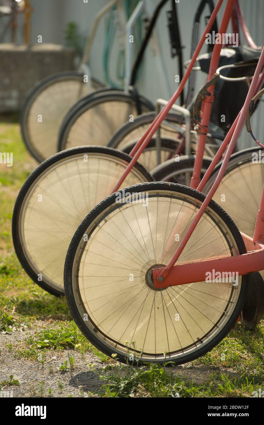 Line of Front Wheels of Standardbred Harness Racing Carts with Red Fork and Black Spokes in a Row Stock Photo