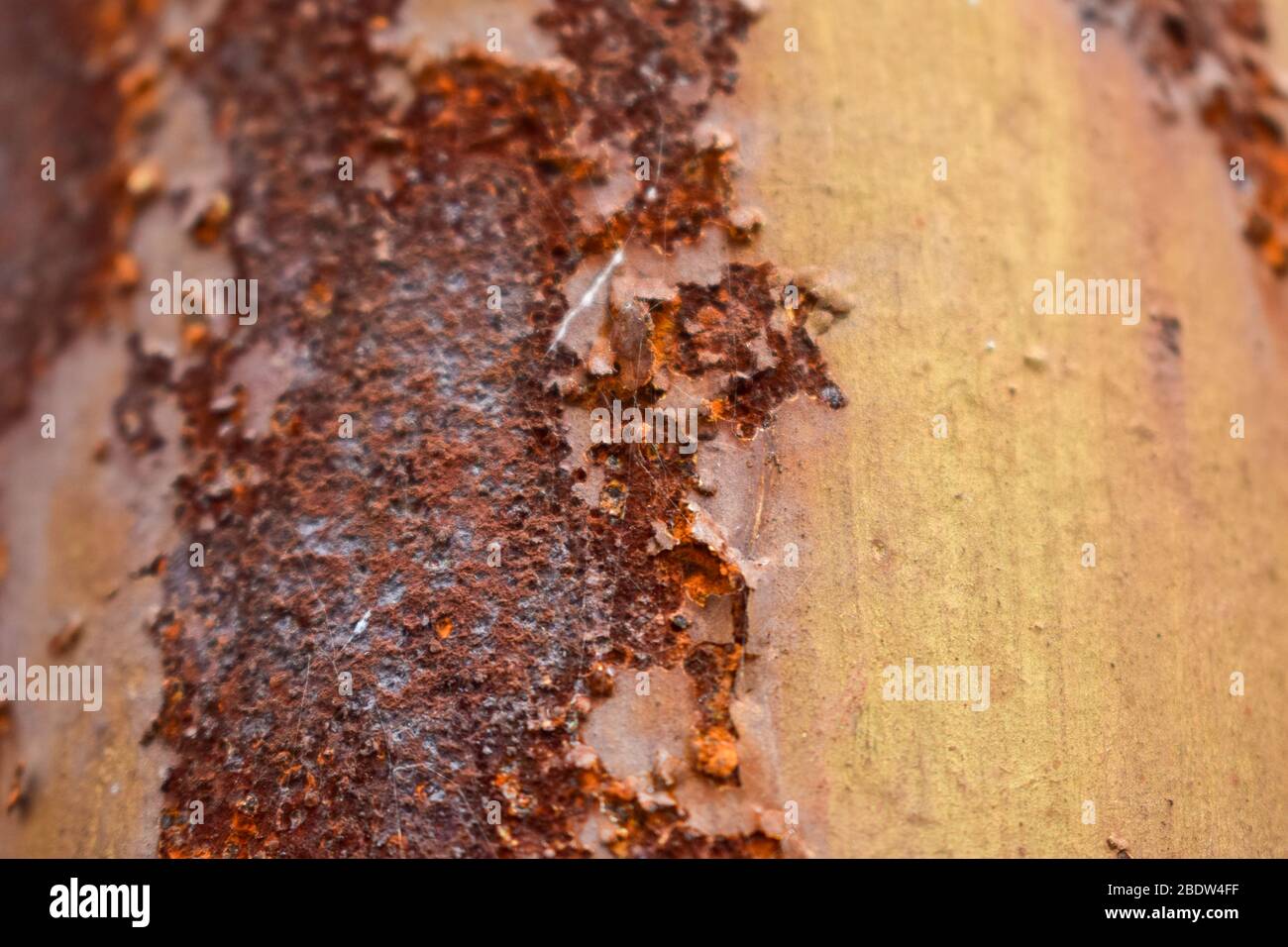Rustic Iron Sheet Texture Background, Old Rustic Texture Stock Photograph Stock Photo