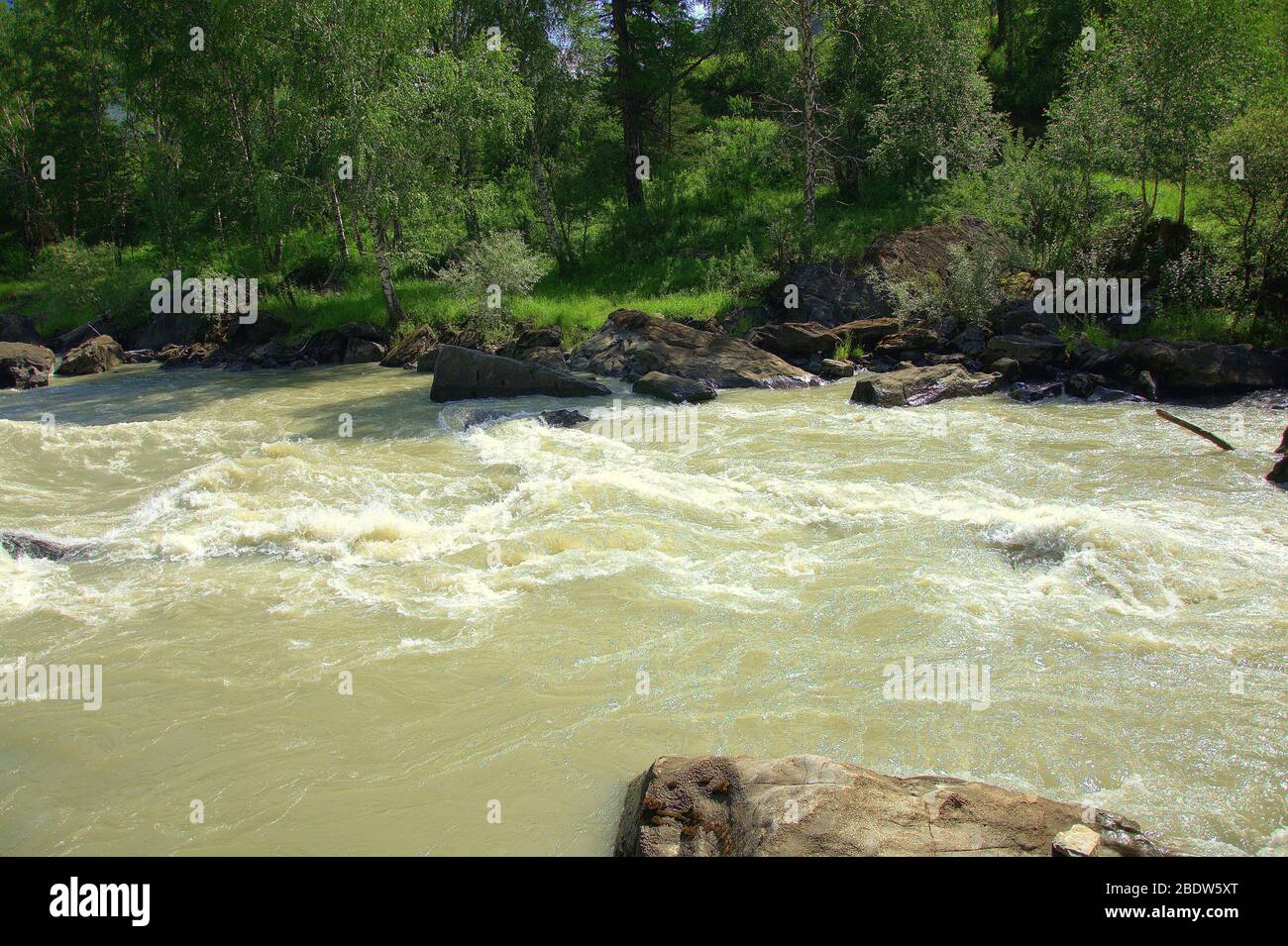 A section of a stormy green river flowing through a forest on rocky shores. Close-up. Stock Photo
