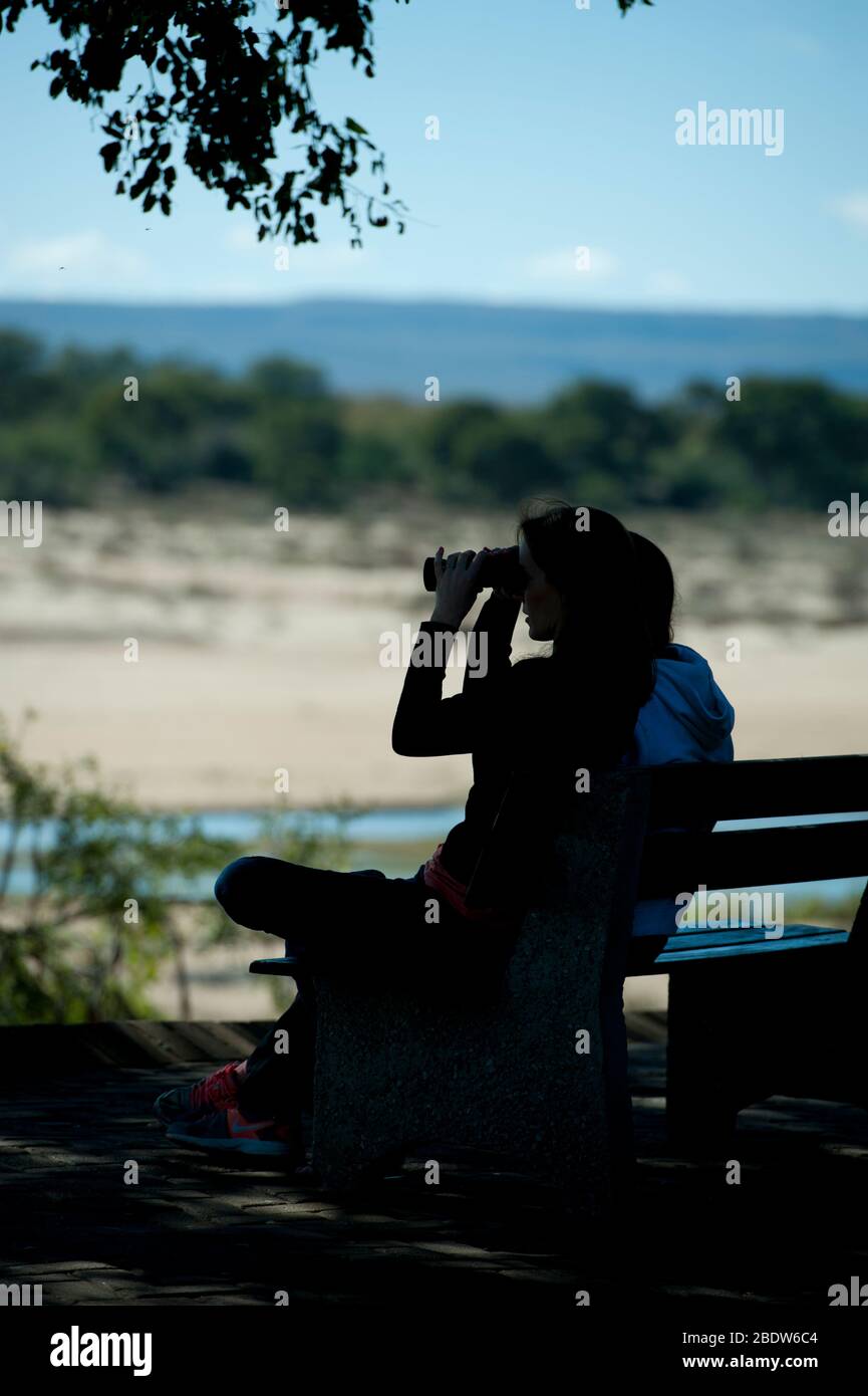 Woman on bench looking through binoculars to river, Letaba Camp, Kruger