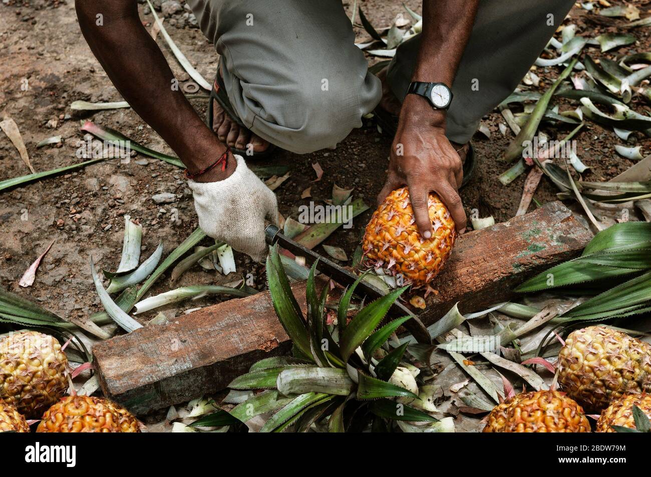 Hawaii fruits hi-res stock photography and images - Alamy