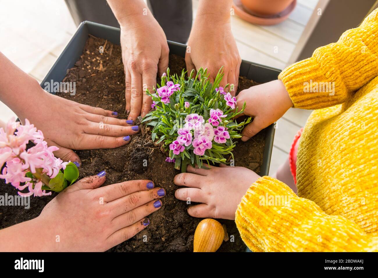 Mother and daughters put flowers in a raised bed on the balcony. Stock Photo