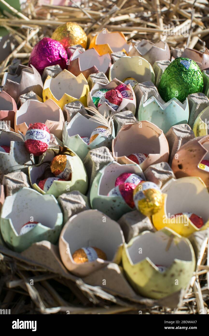 Easter Egg Hunt Stock Photo