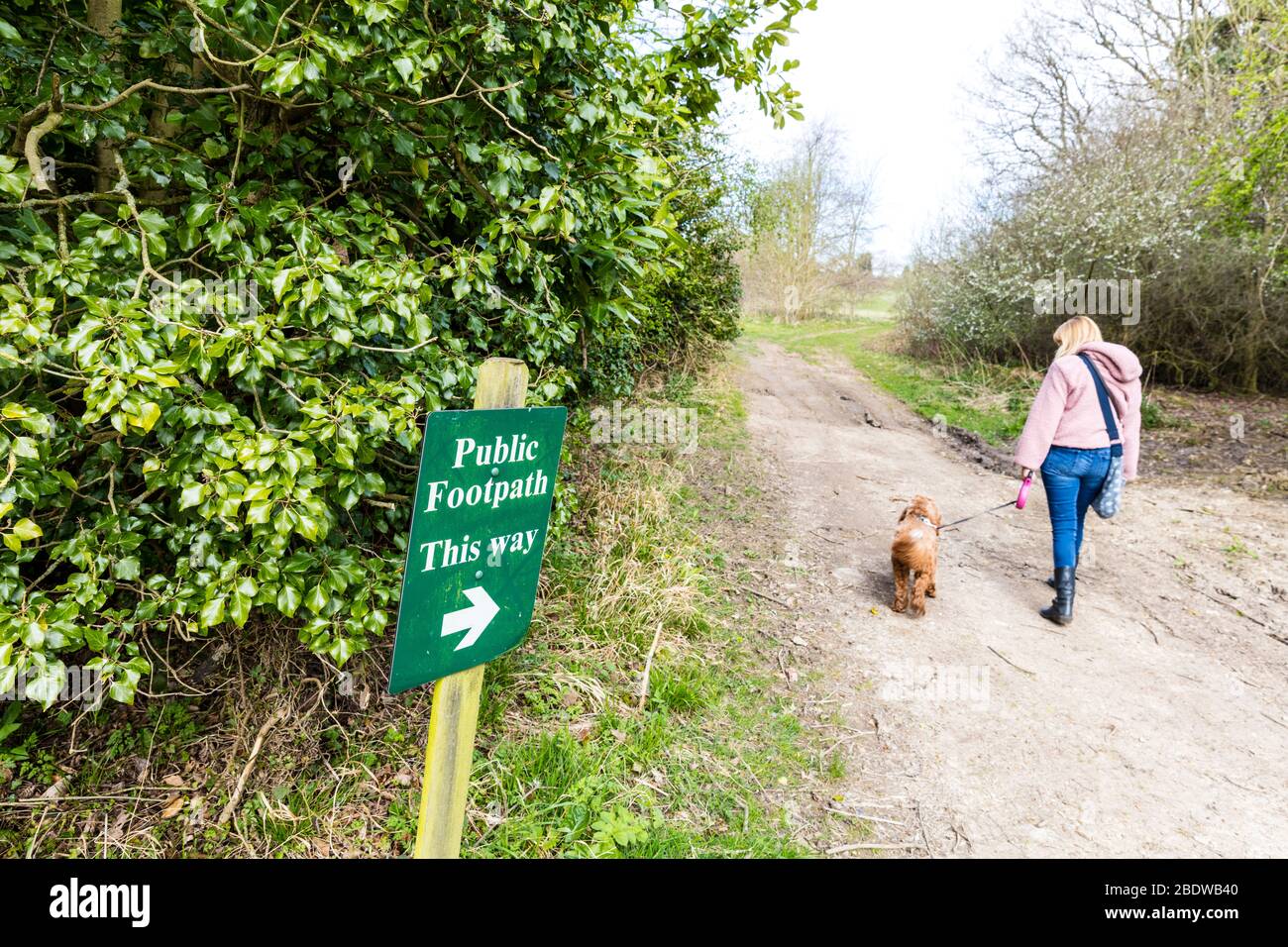 Public footpath this way sign, walking Public footpath, Public footpaths, dog walking, woman with dog, woman walking dog, dog walk, dog walks, dog Stock Photo