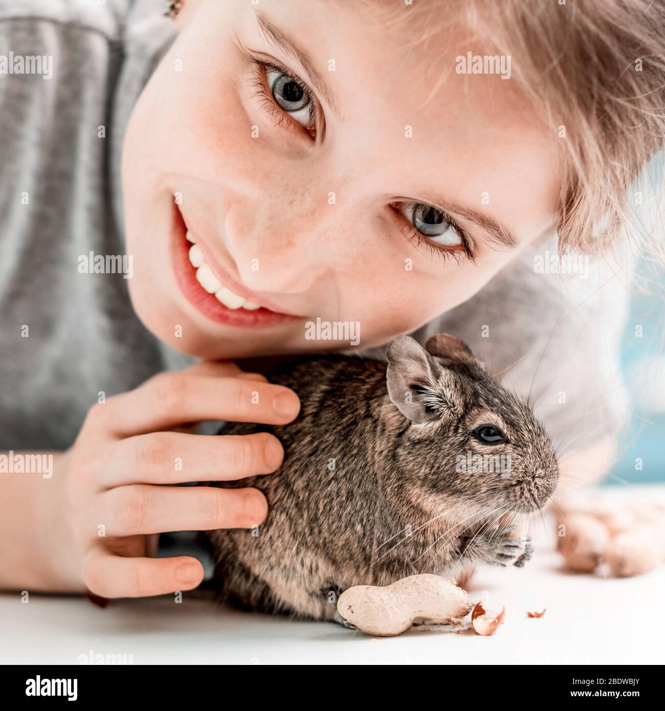 Portrait of young girl with degu squirrel and nuts, close-up. Stock Photo
