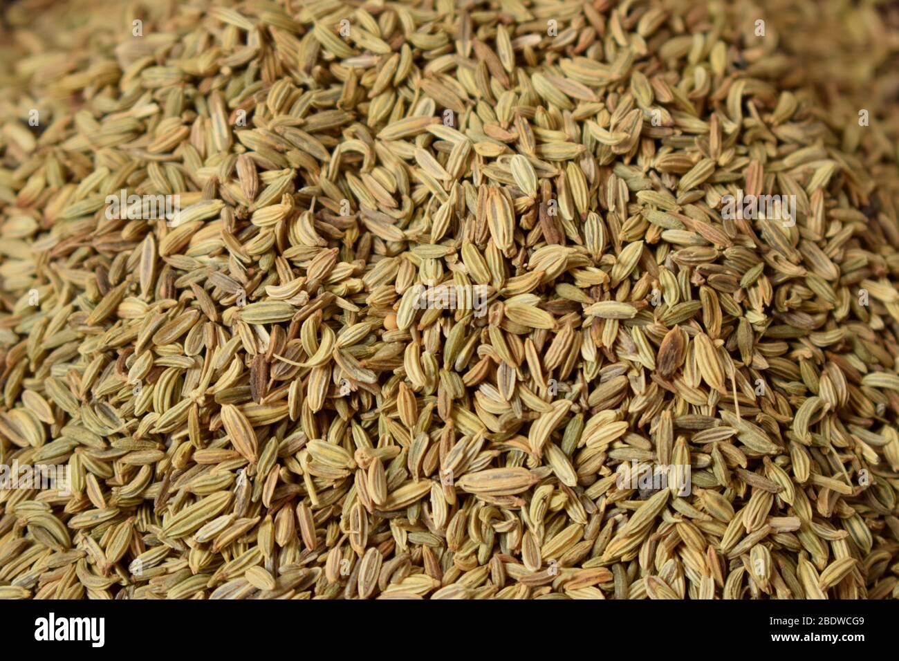 Dried Fennel Seeds as an abstract background texture Stock Photo Alamy