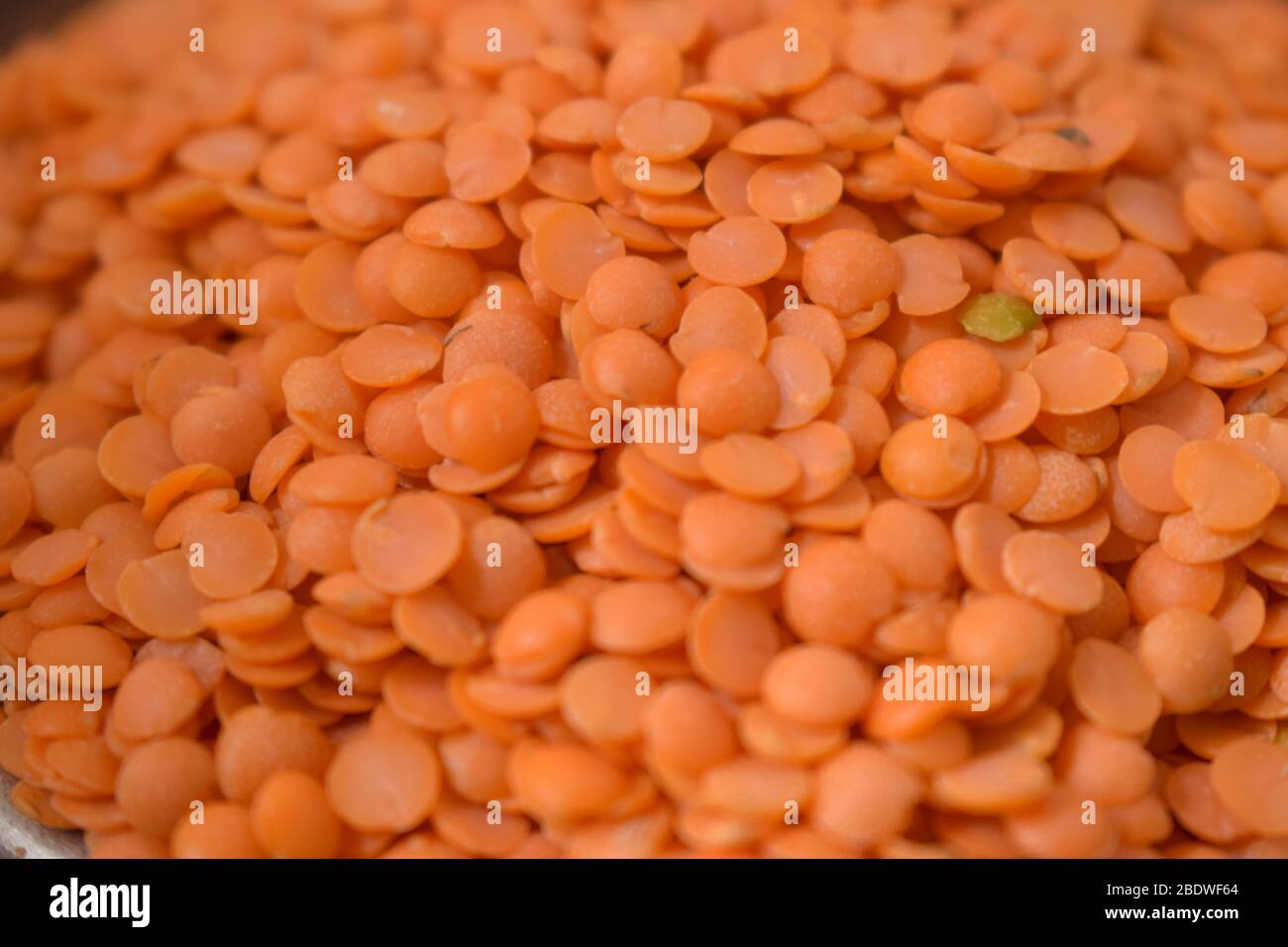 Dry Split Red Lentils as an abstract background texture Stock Photo