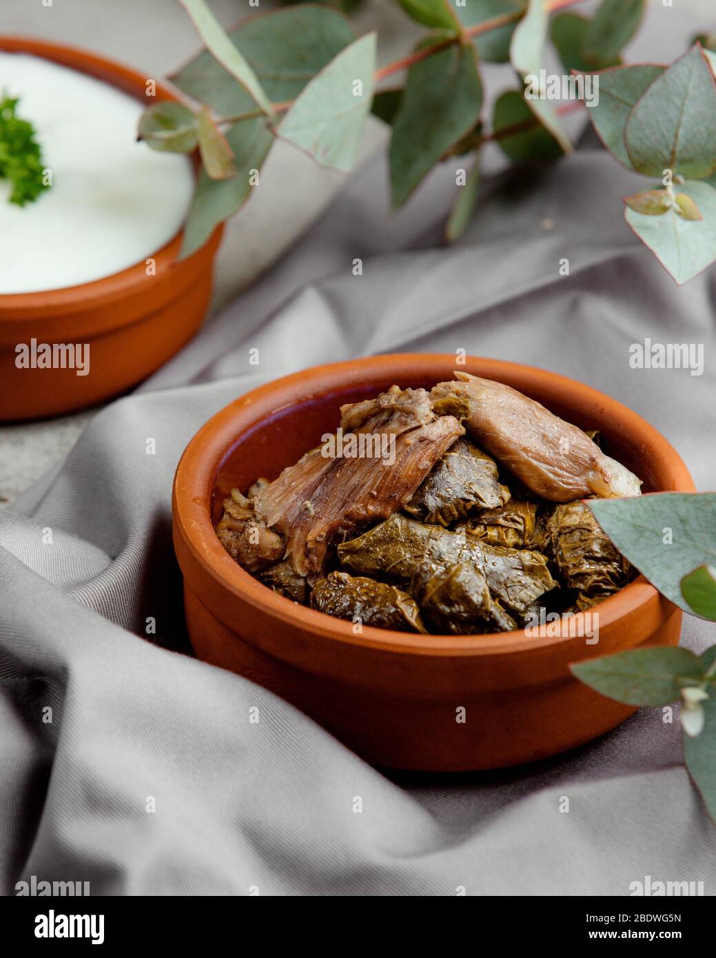 dolma with stuffed meat from grape leaves Stock Photo